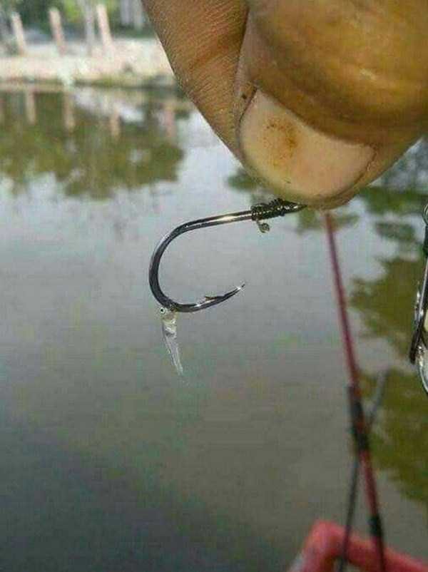 klyker funny picdump 73 1 600x802 Klyker Picdump (93 photos)