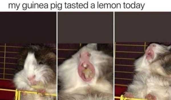 Klyker Picdump (111 photos)