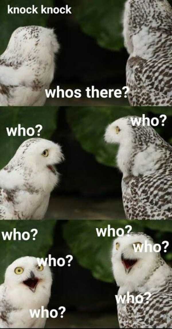 klyker funny picdump 76 600x1146 Klyker Picdump (93 photos)