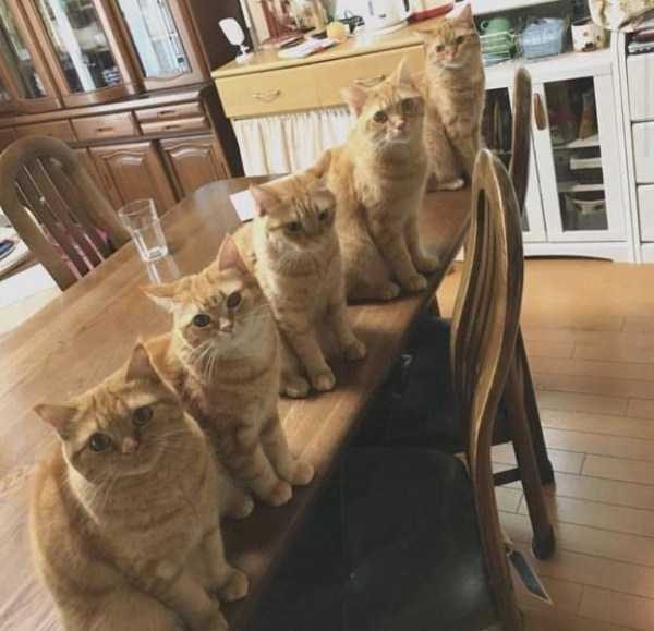 Klyker Picdump (111 photos)