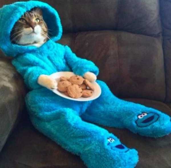 Klyker Picdump (111 photos)