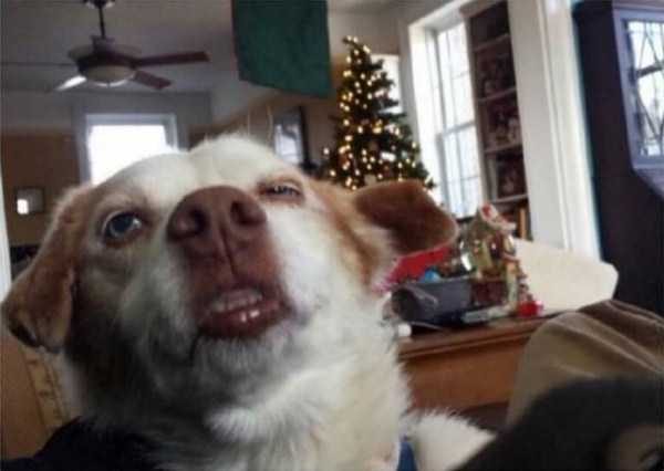 Klyker Picdump (111 photos)