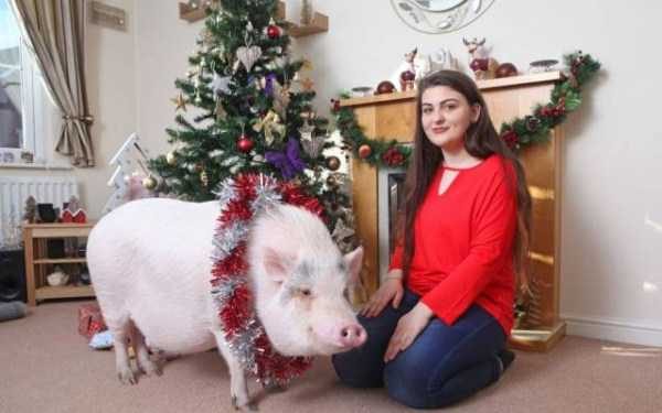 Klyker Picdump (111 photos)