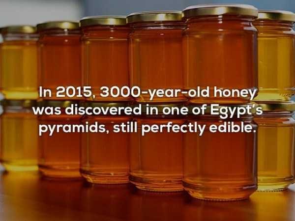 It’s Time For Some Cool And Interesting Facts – Part 75 (51 photos)