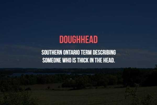 19 Old School Canadian Insults (19 photos)
