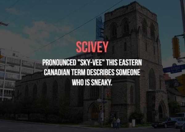 19 Old School Canadian Insults (19 photos)