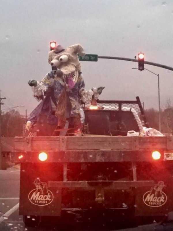 strange internet pics 17 600x800 That Weird Side Of The Internet – Part 83 (48 photos)