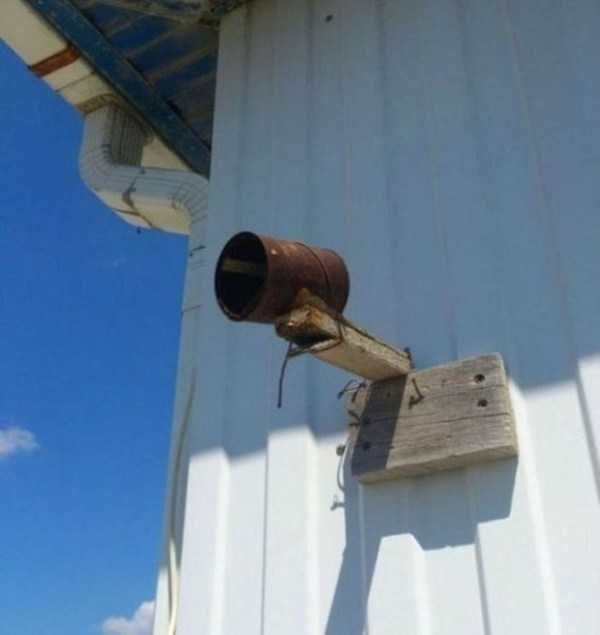 weird pics 7 600x635 Well, Thats Kinda Weird (35 photos)