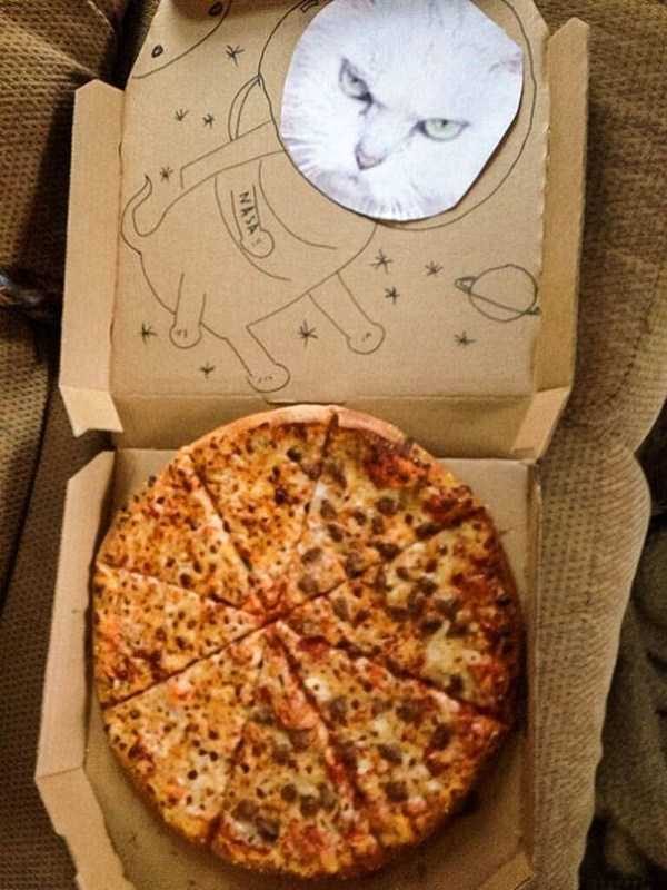 awesome drawings pizza boxes 3 600x800