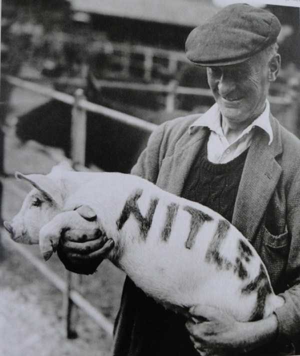 creepy vintage photos 33 600x712 50 Confusing And Downright WTF Vintage Photos