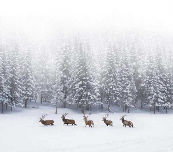 Klyker Picdump (120 photos)