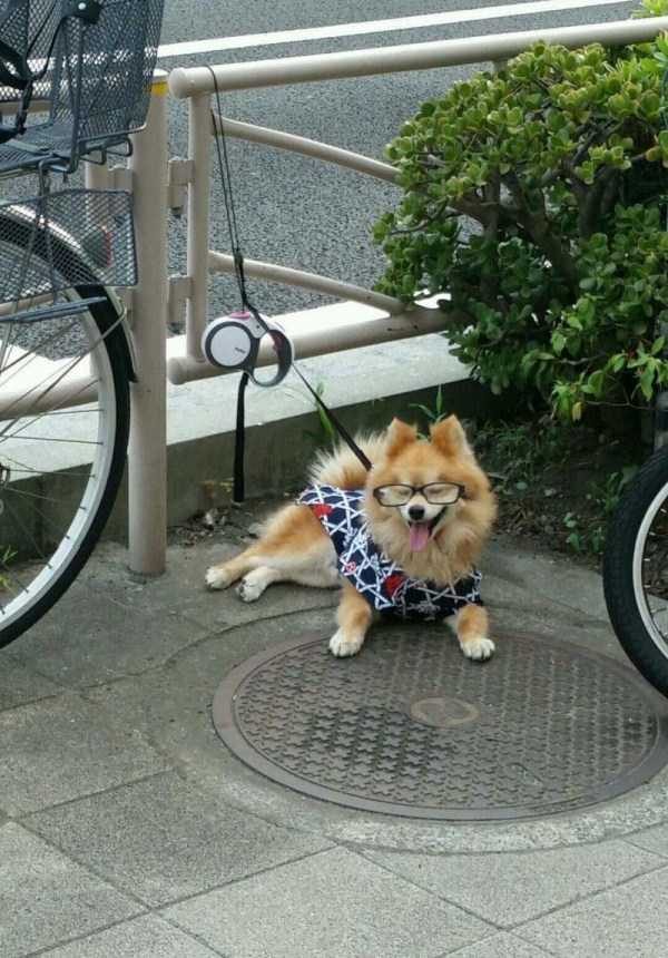 Klyker Picdump (120 photos)