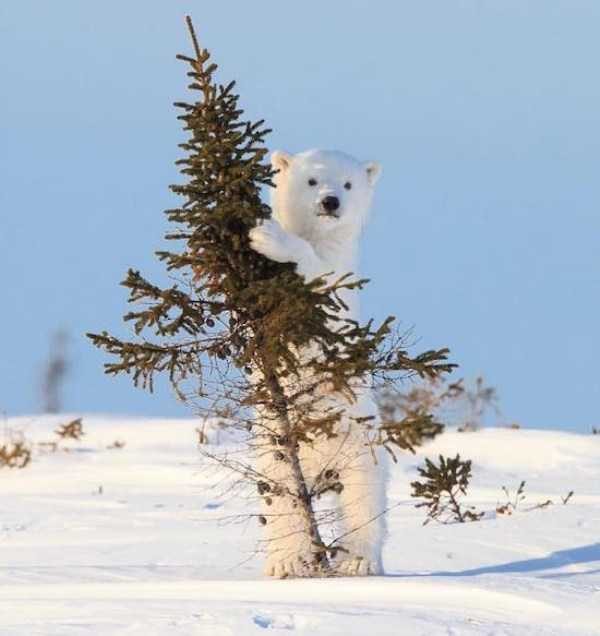 Klyker Picdump (120 photos)