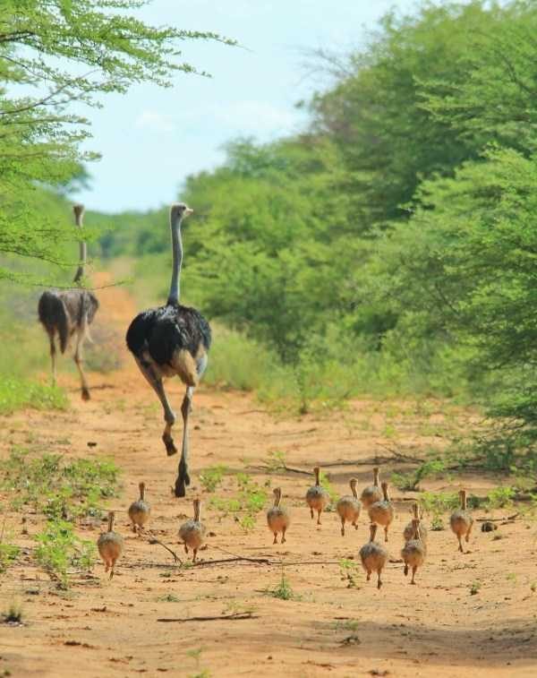 Klyker Picdump (120 photos)