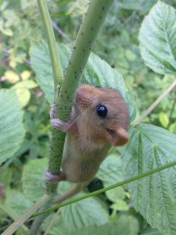 Klyker Picdump (120 photos)