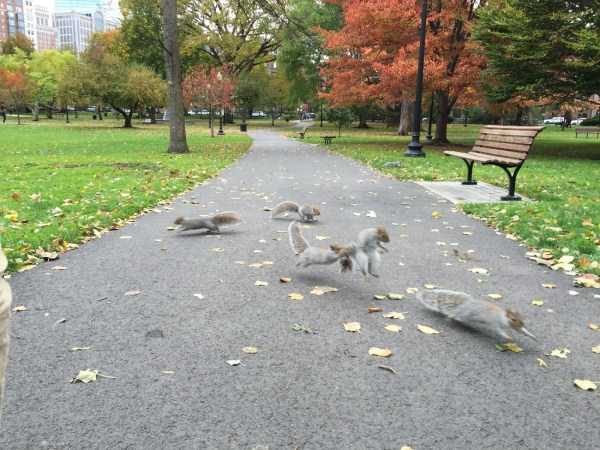 Klyker Picdump (120 photos)