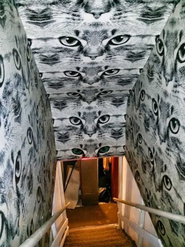 Klyker Picdump (120 photos)