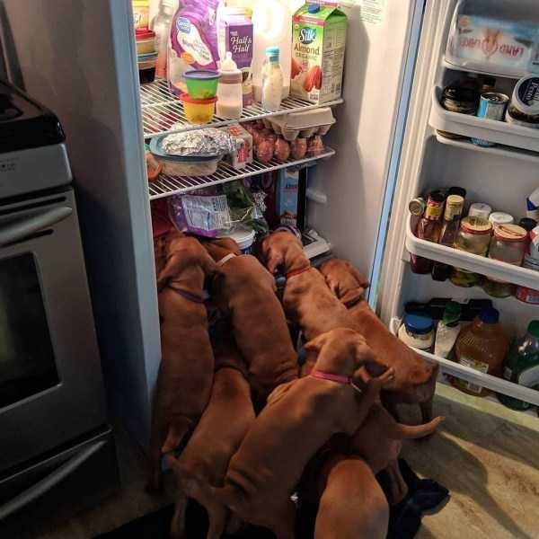 Klyker Picdump (120 photos)