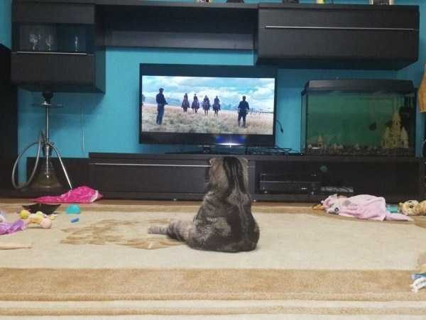 Klyker Picdump (120 photos)