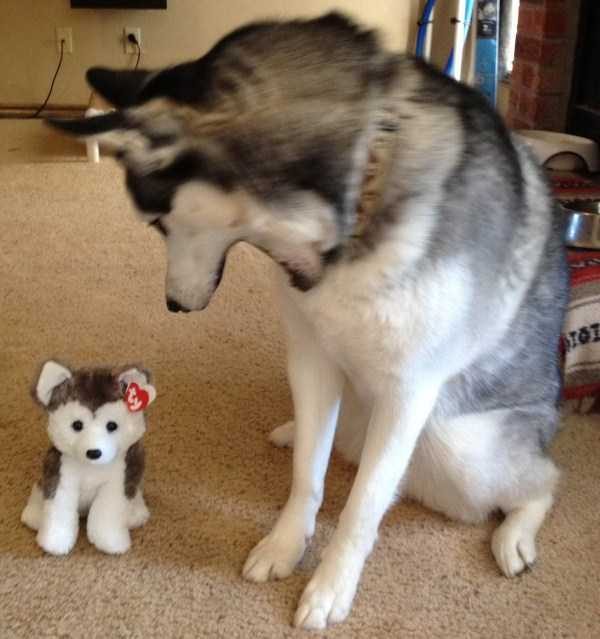 Klyker Picdump (120 photos)