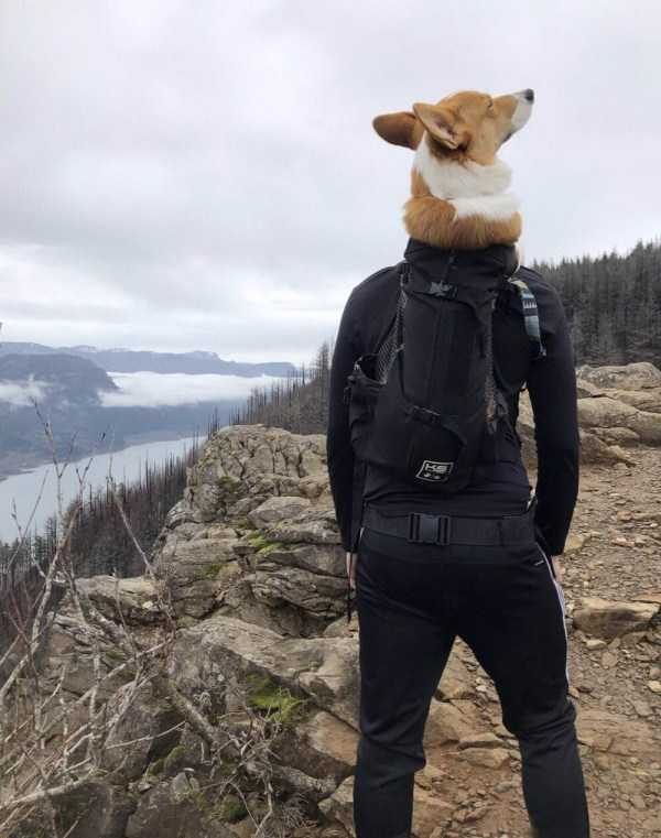 Klyker Picdump (120 photos)