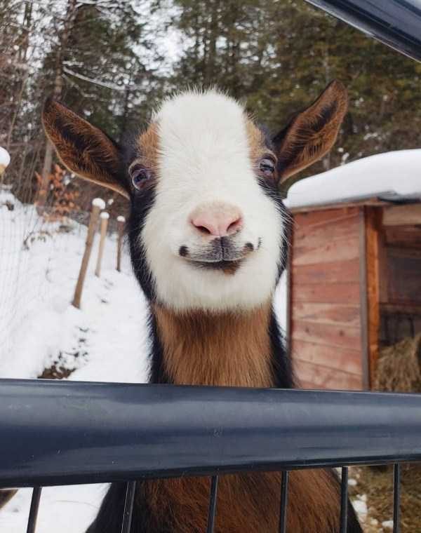 Klyker Picdump (120 photos)