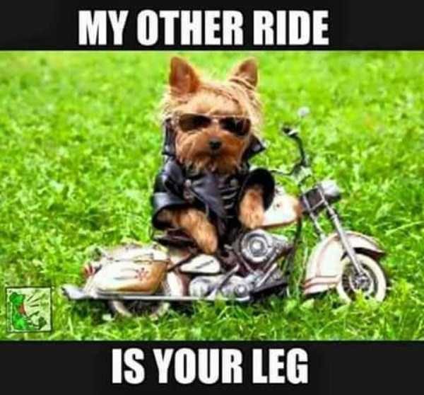 klyker funny picdump 9 26 600x558 klyker funny picdump 9 26 600x558