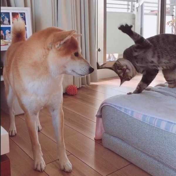 Klyker Picdump (120 photos)