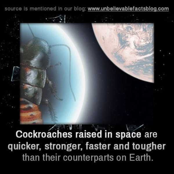 It’s Time For Some Cool And Interesting Facts – Part 77 (64 photos)