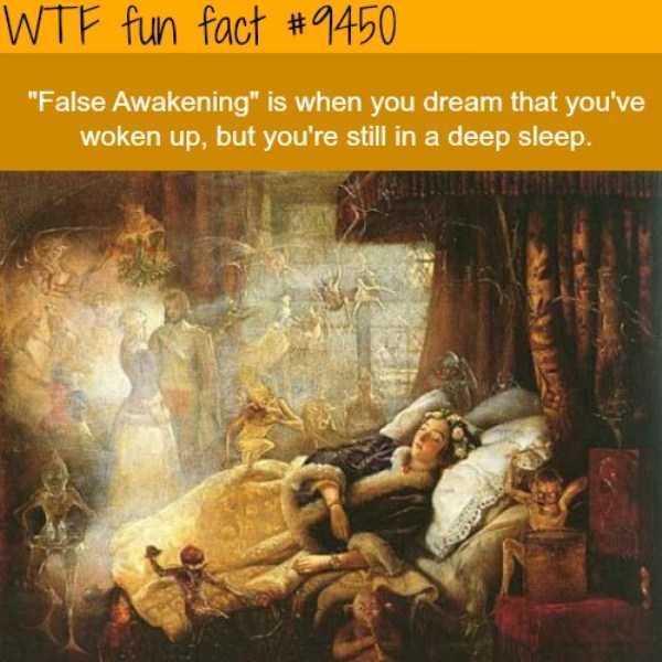It’s Time For Some Cool And Interesting Facts – Part 77 (64 photos)