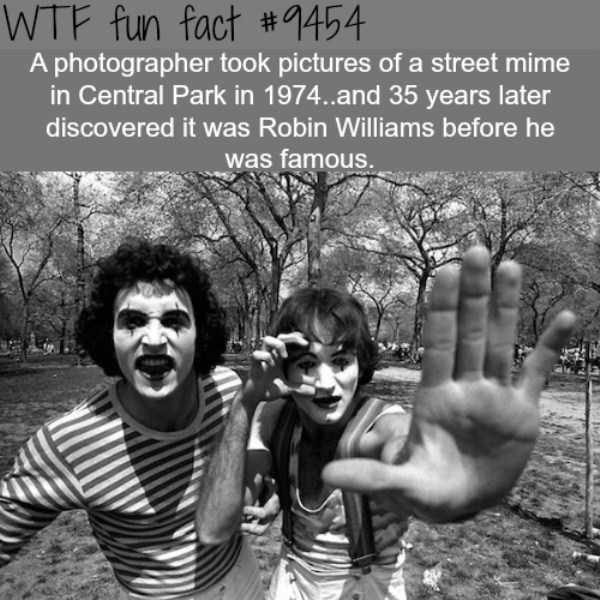 It’s Time For Some Cool And Interesting Facts – Part 77 (64 photos)