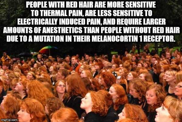 It’s Time For Some Cool And Interesting Facts – Part 77 (64 photos)