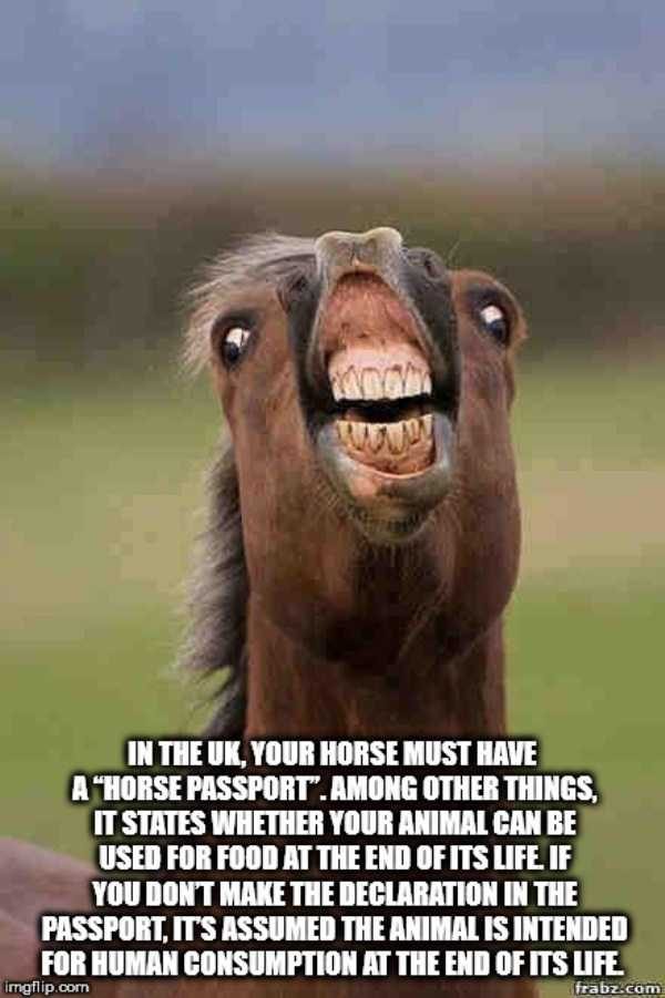 It’s Time For Some Cool And Interesting Facts – Part 77 (64 photos)