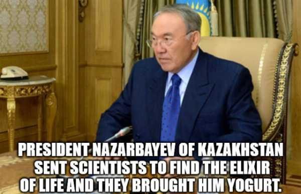 It’s Time For Some Cool And Interesting Facts – Part 77 (64 photos)