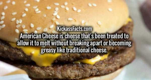 It’s Time For Some Cool And Interesting Facts – Part 77 (64 photos)