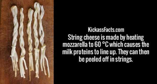 It’s Time For Some Cool And Interesting Facts – Part 77 (64 photos)