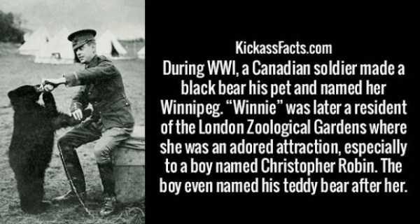 It’s Time For Some Cool And Interesting Facts – Part 77 (64 photos)