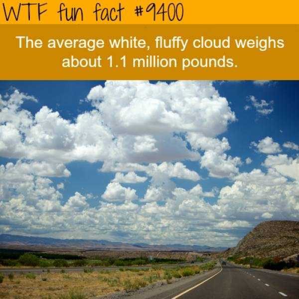 It’s Time For Some Cool And Interesting Facts – Part 77 (64 photos)