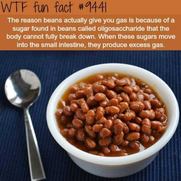 It’s Time For Some Cool And Interesting Facts – Part 77 (64 photos)