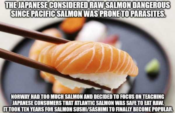 It’s Time For Some Cool And Interesting Facts – Part 77 (64 photos)