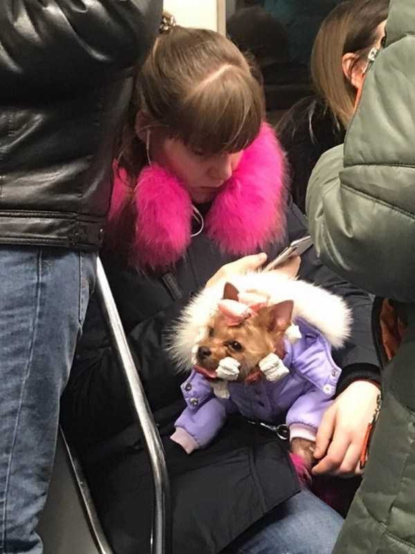 Subway Fashion: Russian Edition – Part 57 (37 photos)