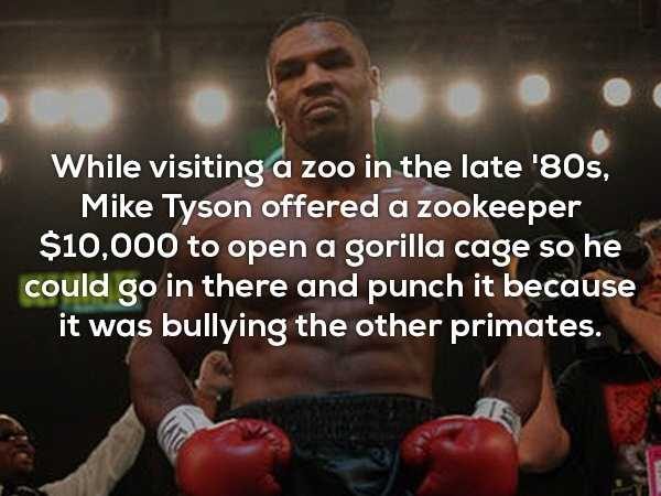 It’s Time For Some Cool And Interesting Facts – Part 85 (72 photos)