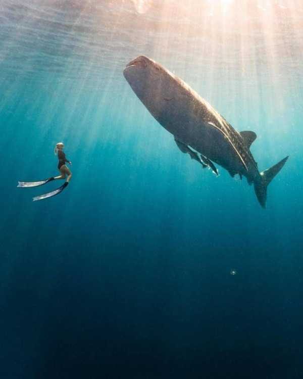 44 Nothing But Awesome Pics (44 photos)