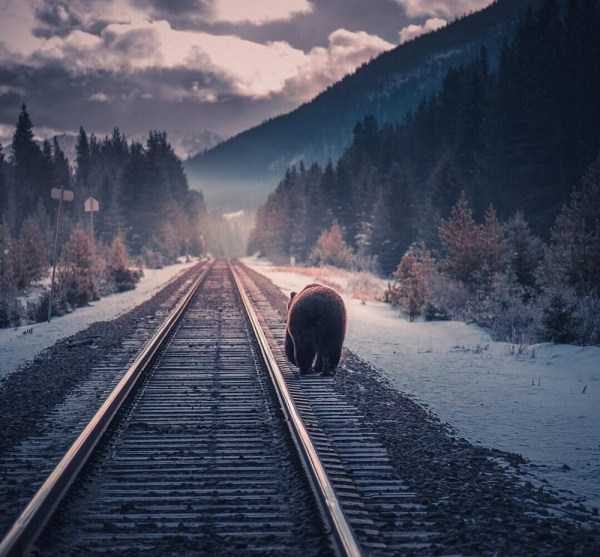 44 Nothing But Awesome Pics (44 photos)