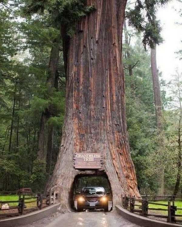 44 Nothing But Awesome Pics (44 photos)