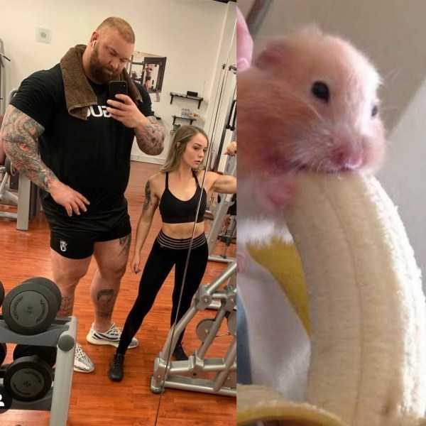 Put Your Dirty Mind To The Test – Part 32 (66 photos)