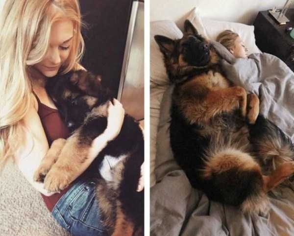 funny animals 13 14 600x482 Get Ready For Funny Animals – Part 21 (50 photos)