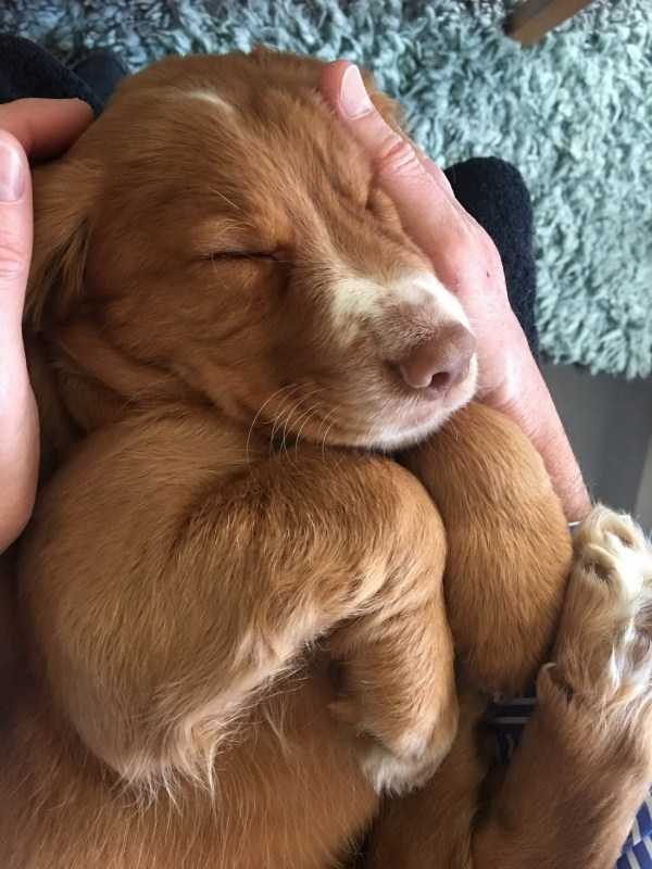 Get Ready For Funny Animals – Part 17 (44 photos)