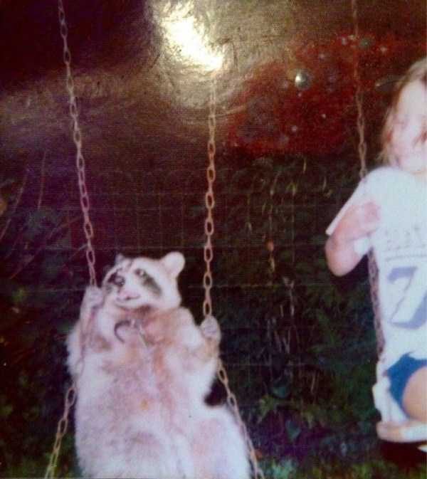 funny animals 14 5 600x673 Get Ready For Funny Animals – Part 12 (49 photos)