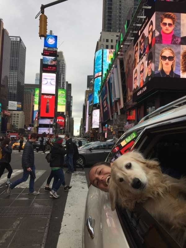 funny animals 15 13 600x800 Get Ready For Funny Animals – Part 20 (42 photos)